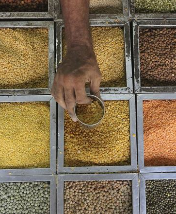 Now, Nafed to launch e-auction platform for pulses trade
