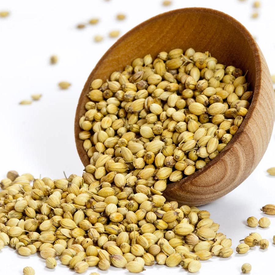 Commodity Outlook – Coriander Seed