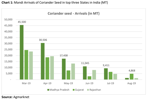 coriander