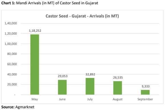 castor seed