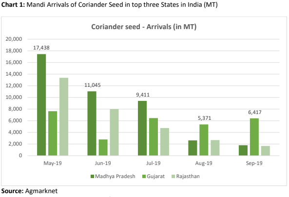 coriander