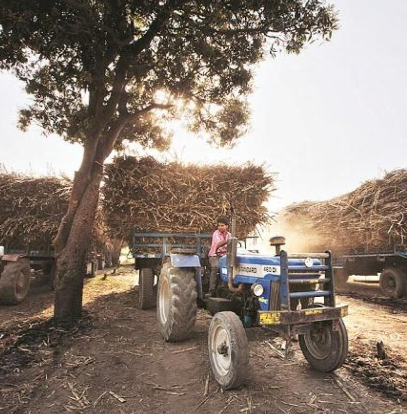 Agri-tech: Harvesting benefits of tech at the mandi