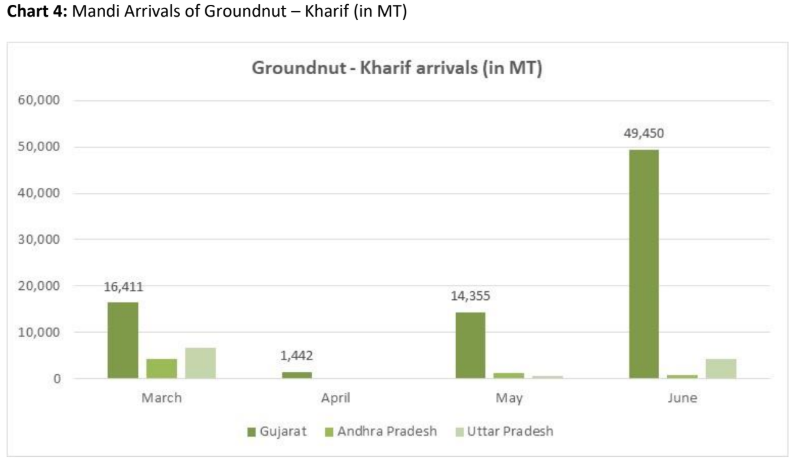mandi arrival of groundnut in kharif