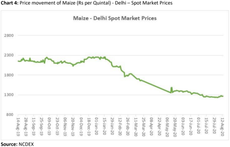 Commodity Outlook of Maize Agribazaar