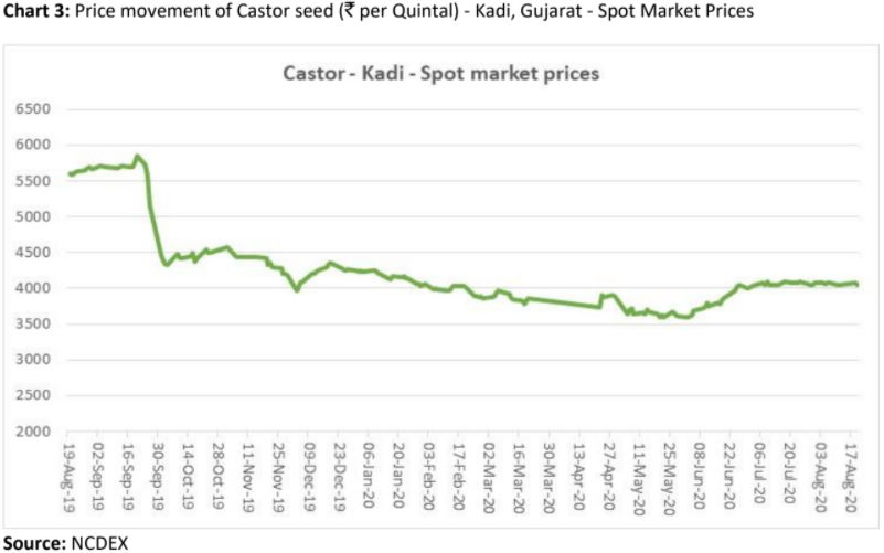 price movement of castor seed in kadi, gujarat