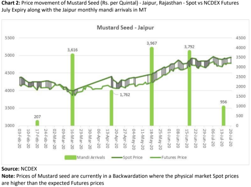 price movement of mustard seed along with monthly mandi arrivals in jaipur