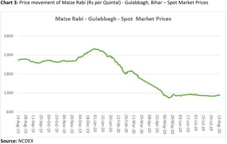 price movement of maize rabi in gulabbagh, bihar