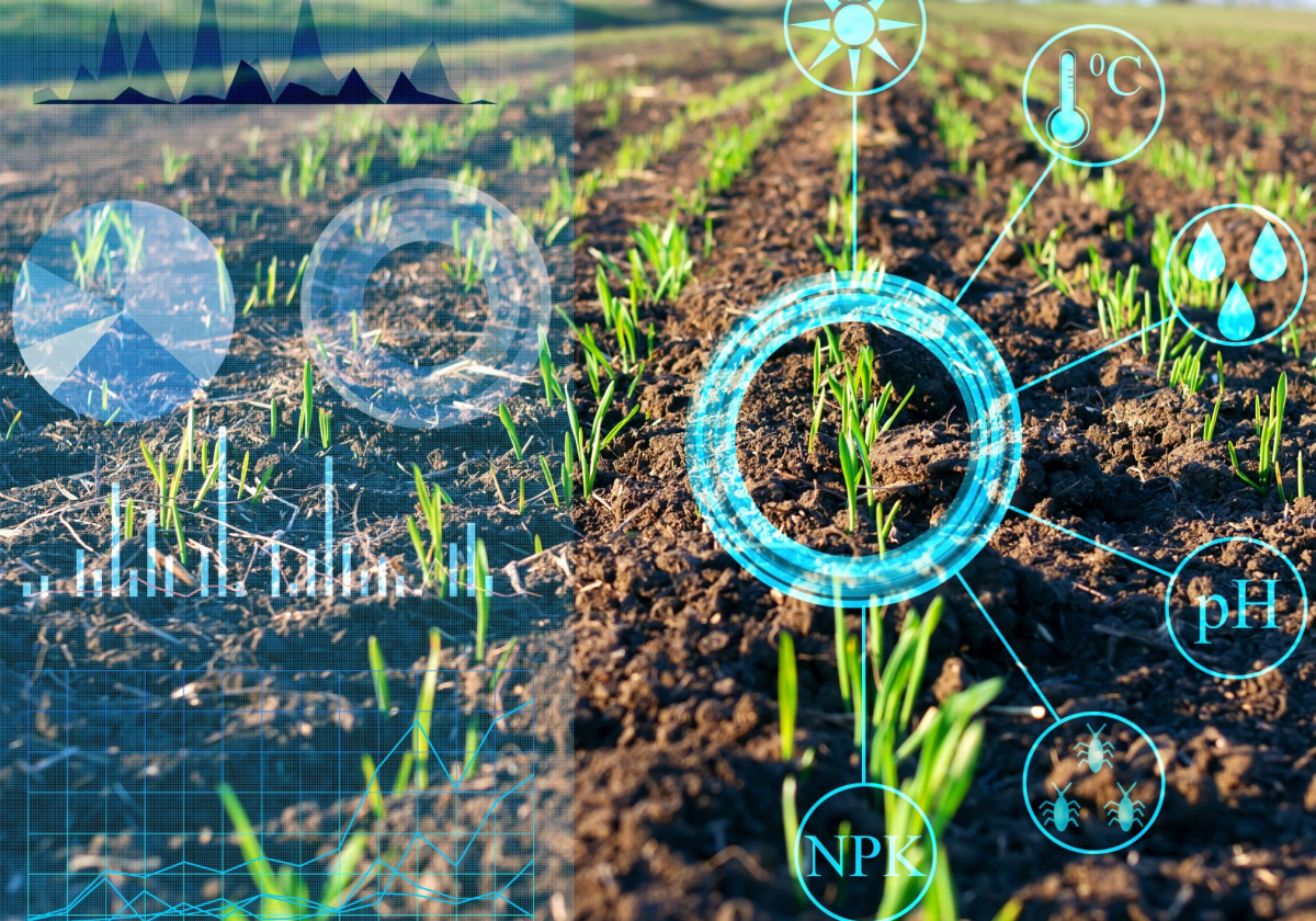 Block chain in Agriculture! Why not?