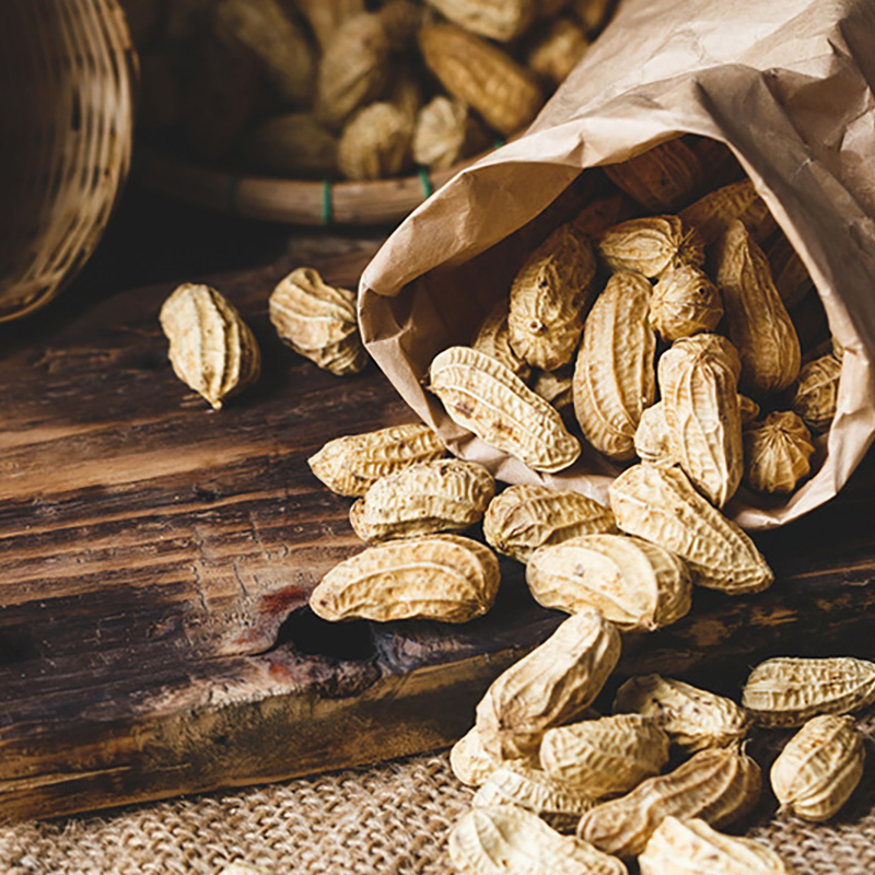 Commodity Outlook – Groundnut