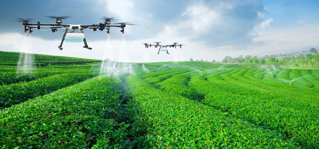 reinventing India's food supply chain by introducing drone.