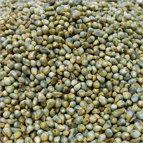Commodity Outlook – Bajra (Pearl Millet)