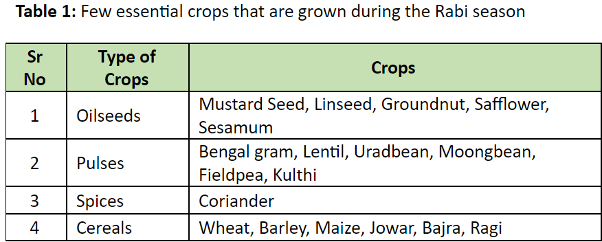 Crops grown during rabi season