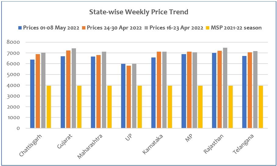 soybean report