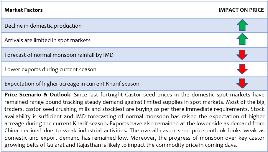 Castor seed report