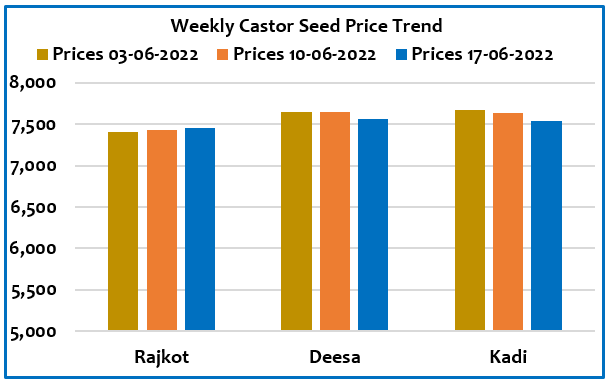 Castor seed report : price trend 