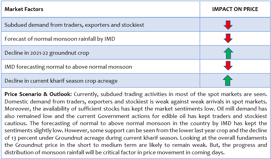 Groundnut report 