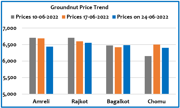 Groundnut report : Price trend