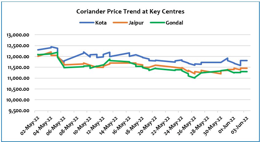 Coriander report