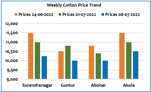 Cotton price trend