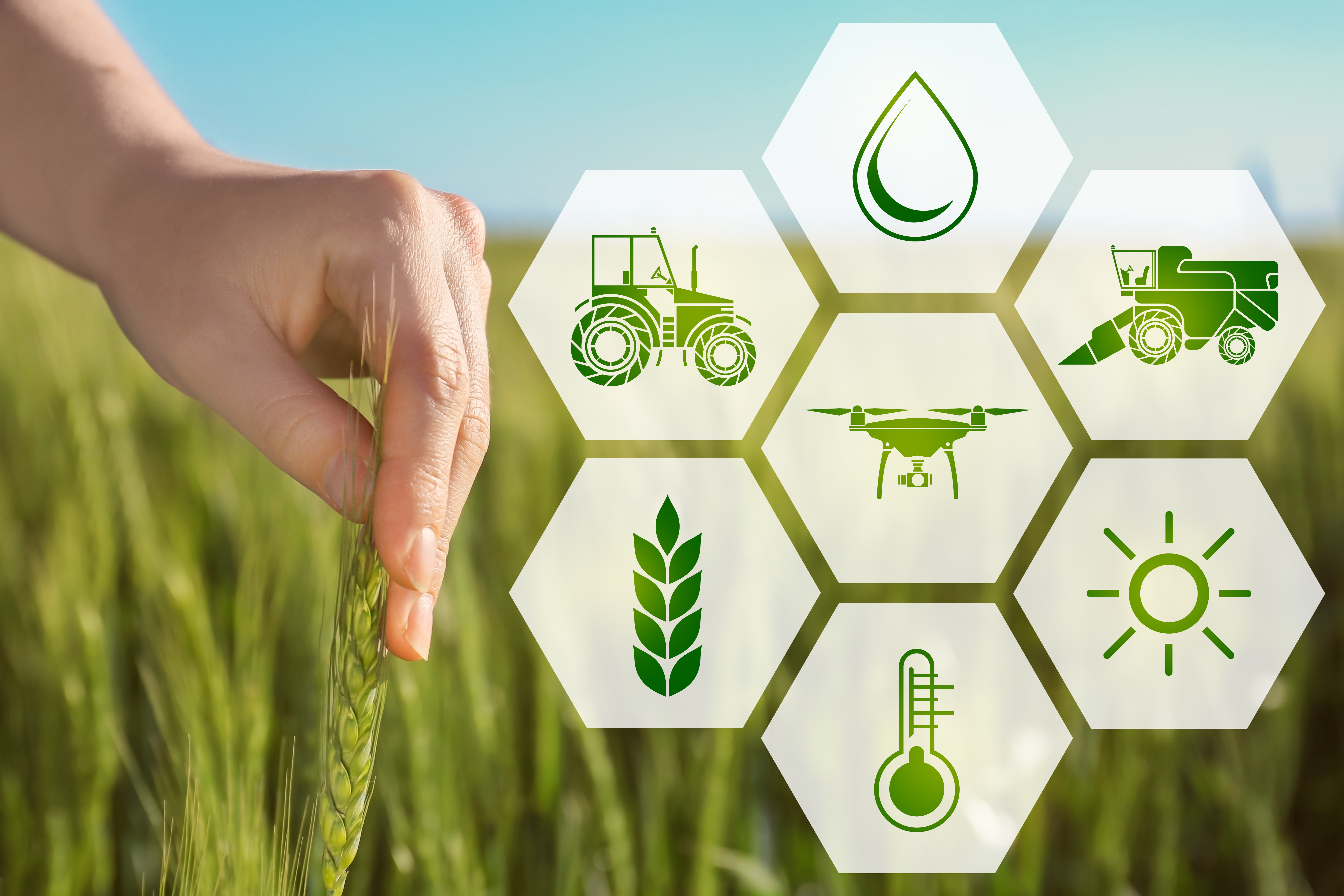 Технологии экологического развития. Технологии в сельском хозяйстве. Инновации в сфере сельского хозяйства. Экологическое сельское хозяйство. Зеленые технологии.