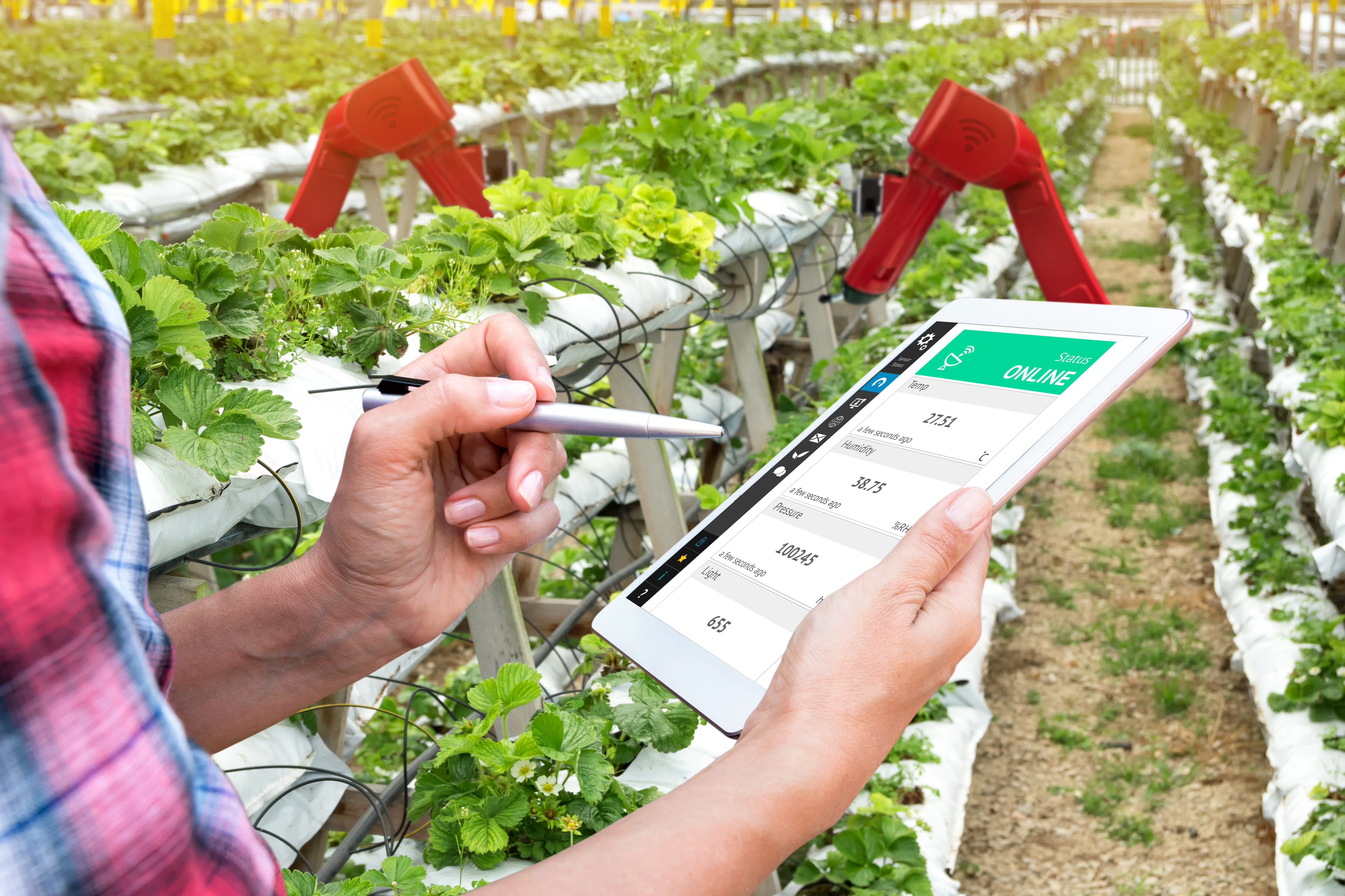 Smart agriculture