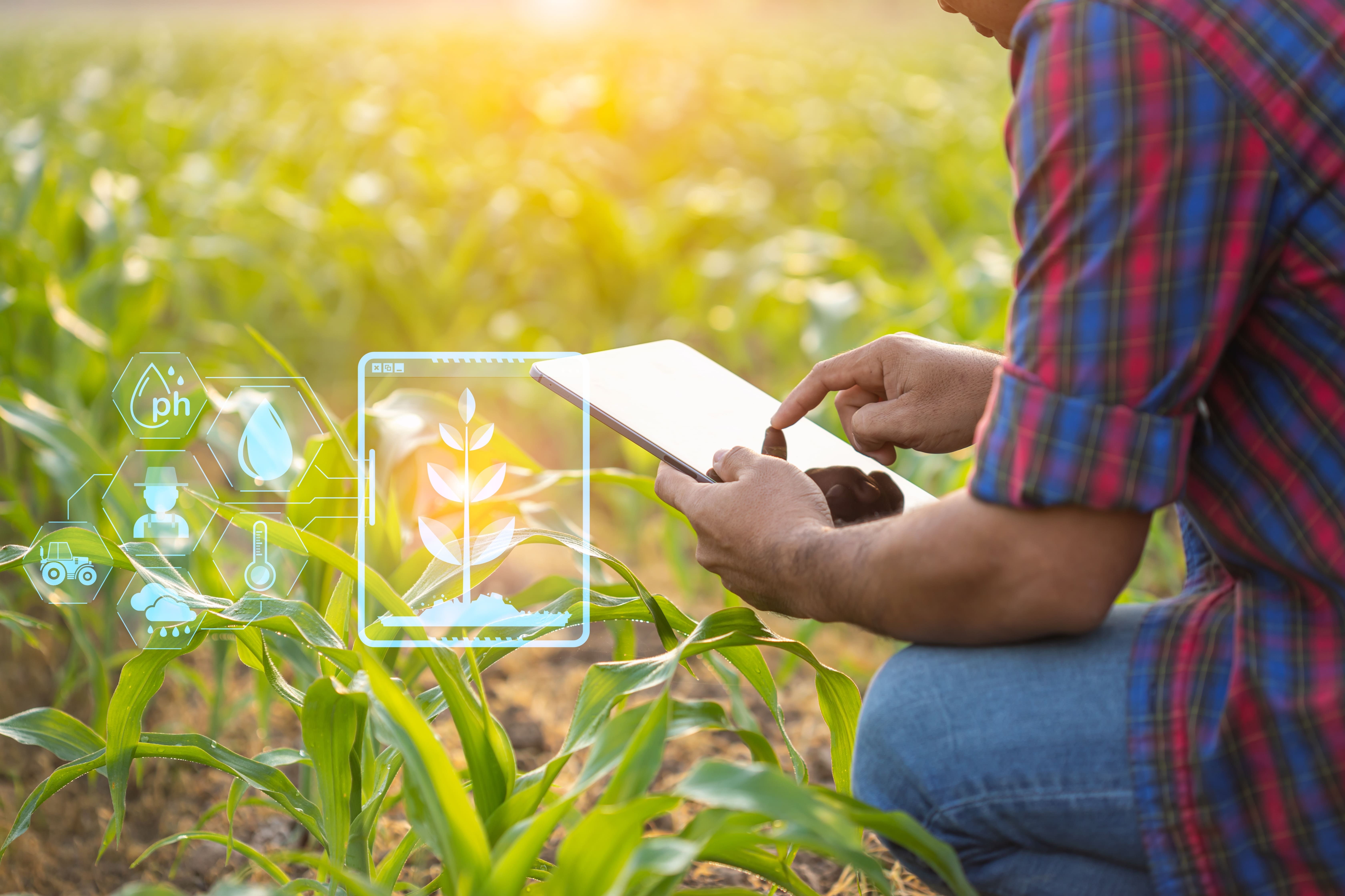 data analytics in indian agriculture