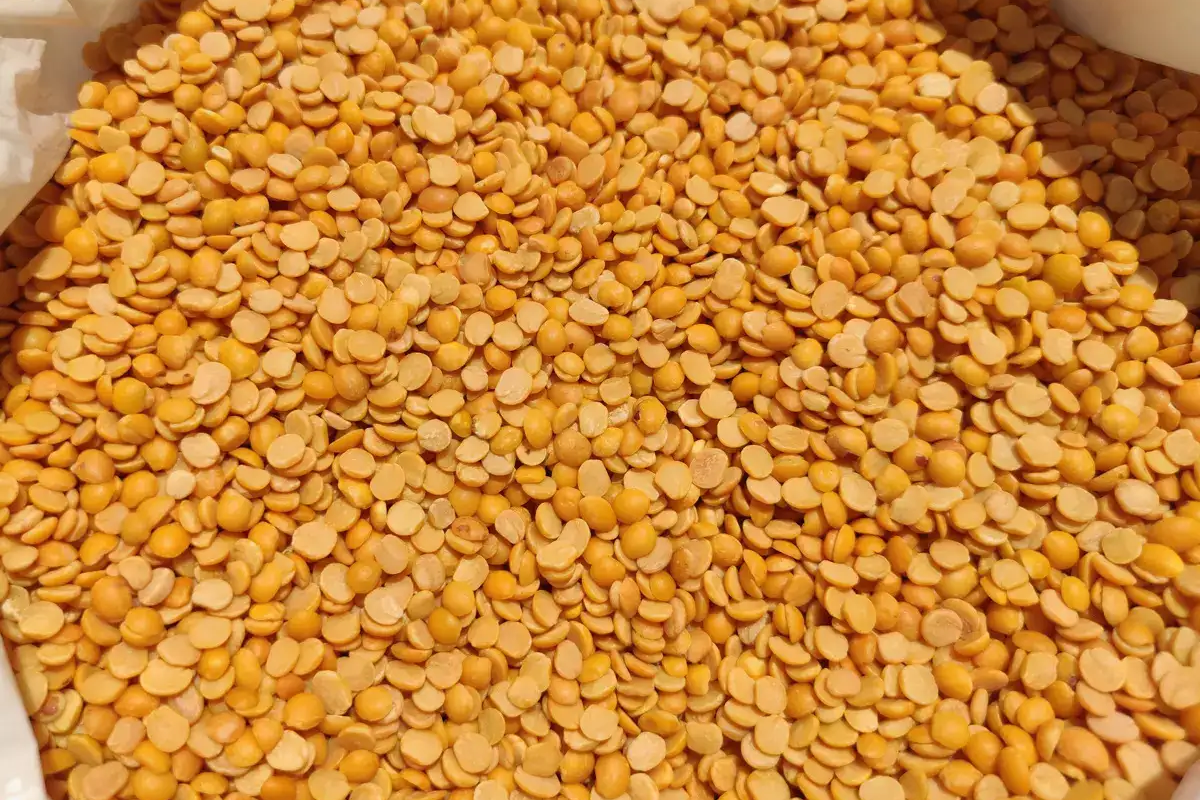Commodity Insights: Tur (Whole)