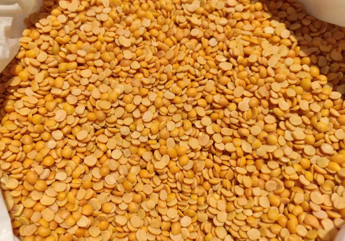 Commodity Insights: Tur (Whole)