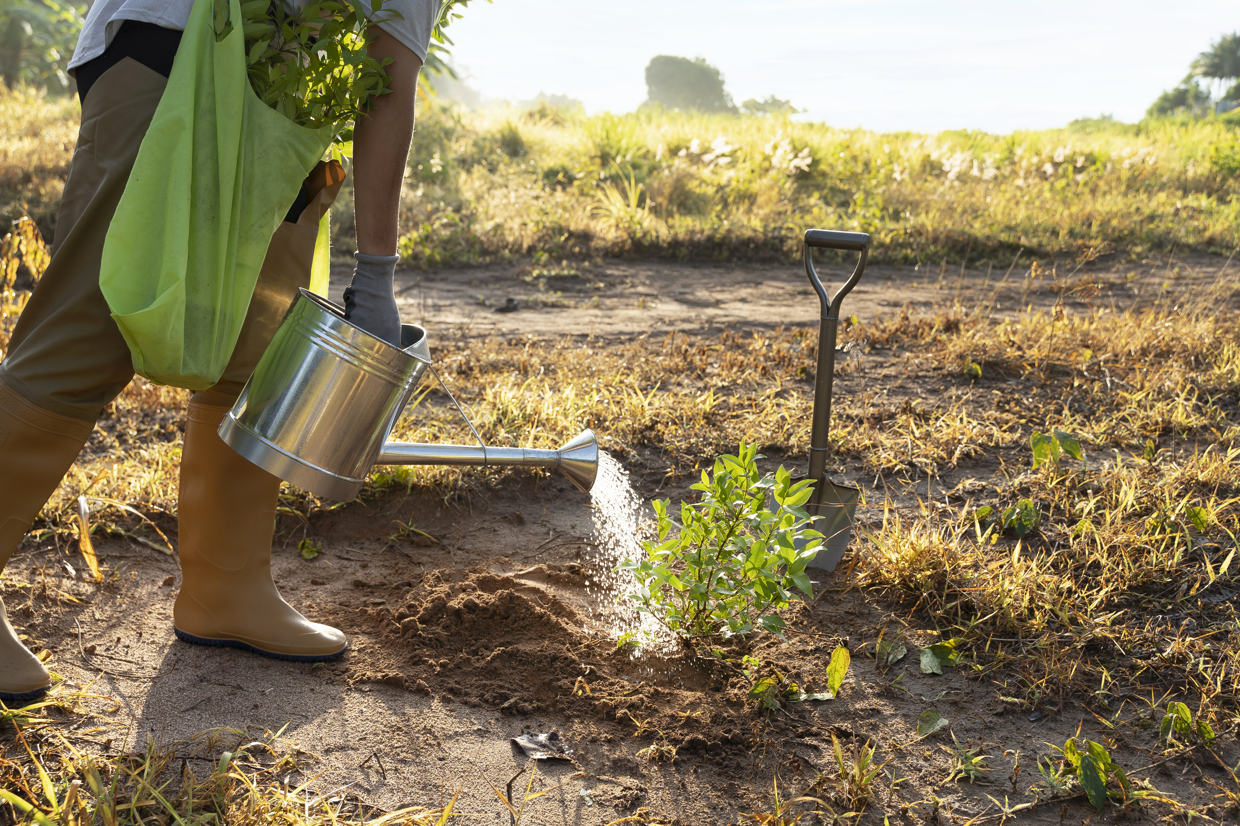 irrigation