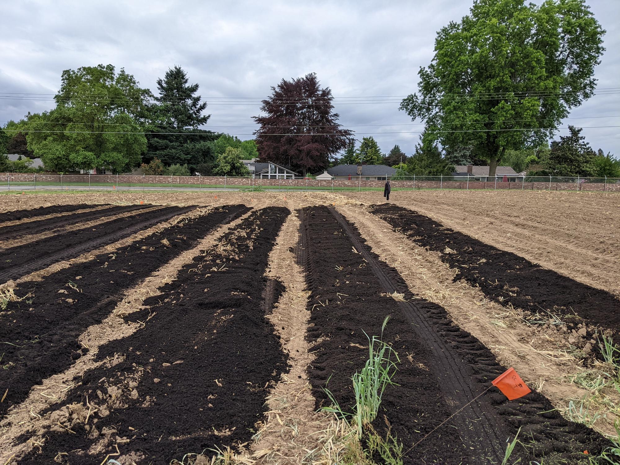 Bio-fertilizer