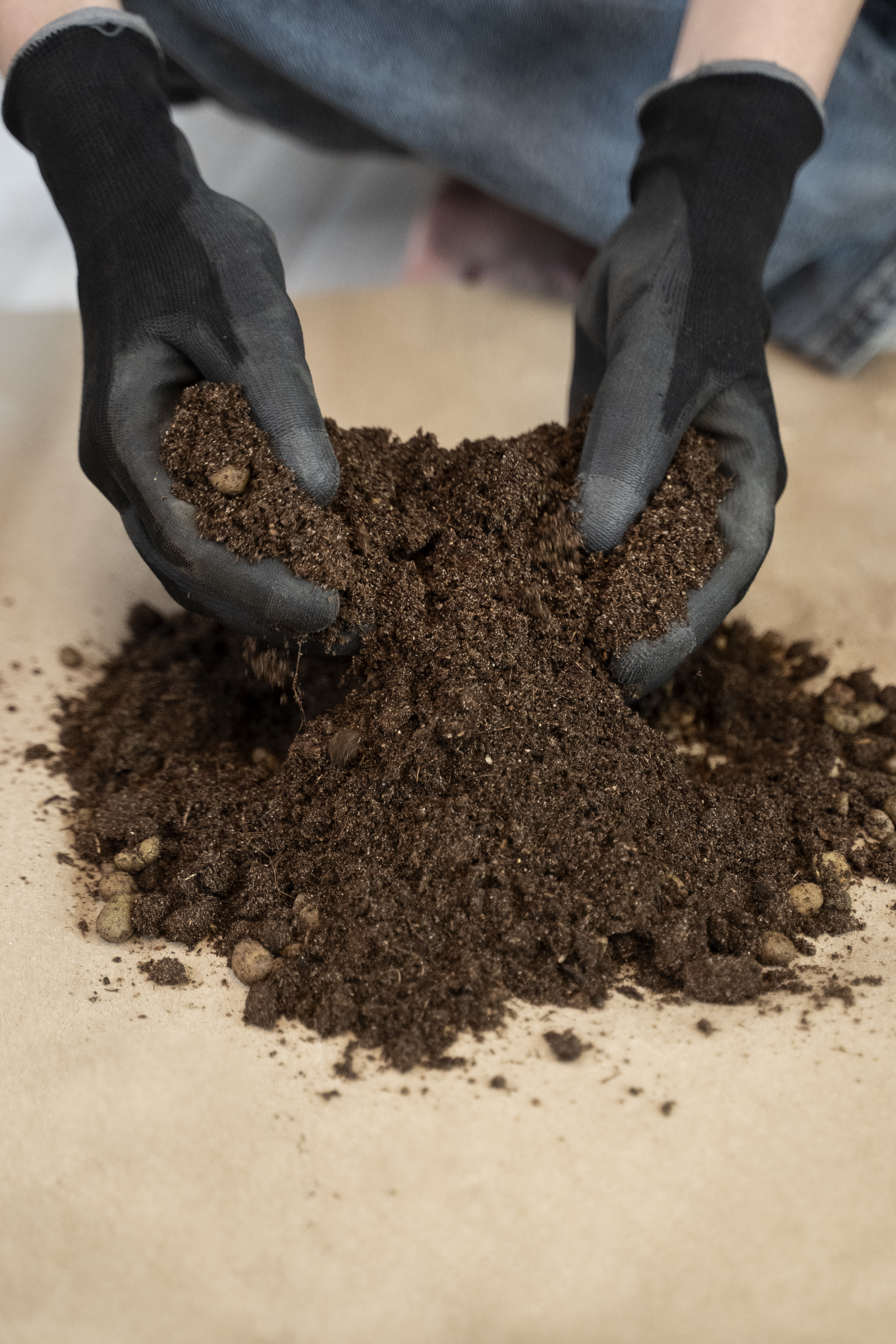 Peat Moss