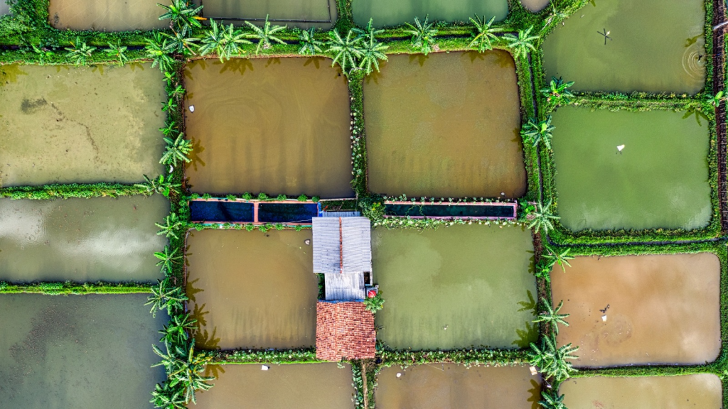 Data-Driven Farming