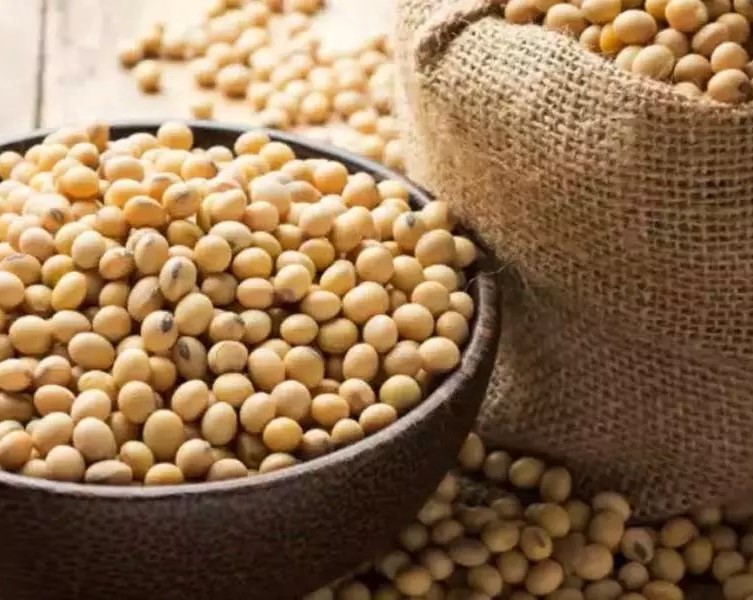 2026 की गेमचेंजर फसलें 