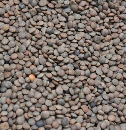 Weekly Commodity Insights: Masur (Whole)