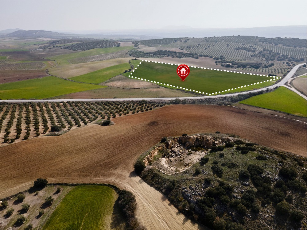 yield prediction