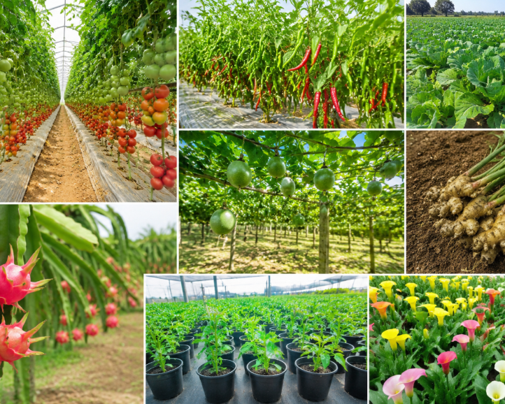 high profit crops