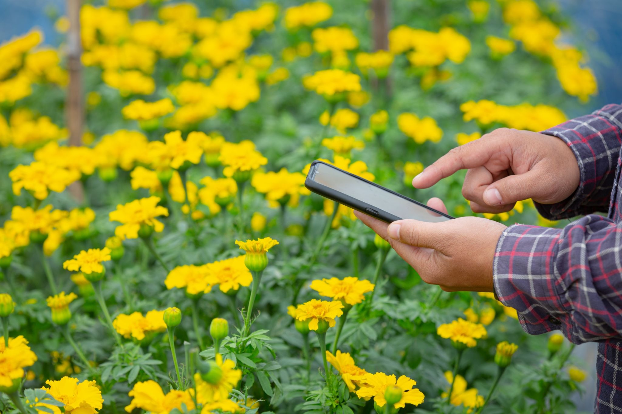 future of agriculture technology