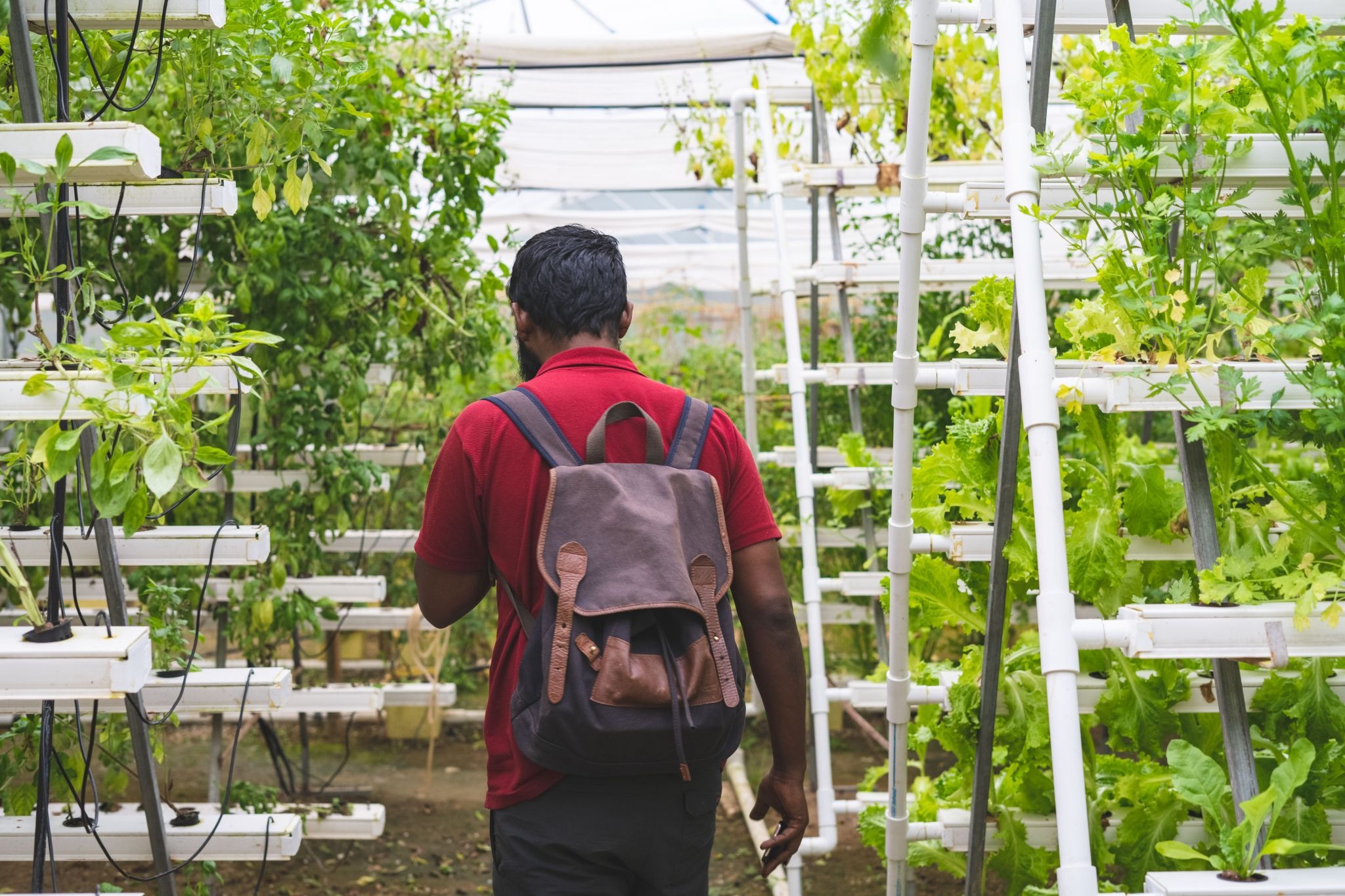 future of agriculture