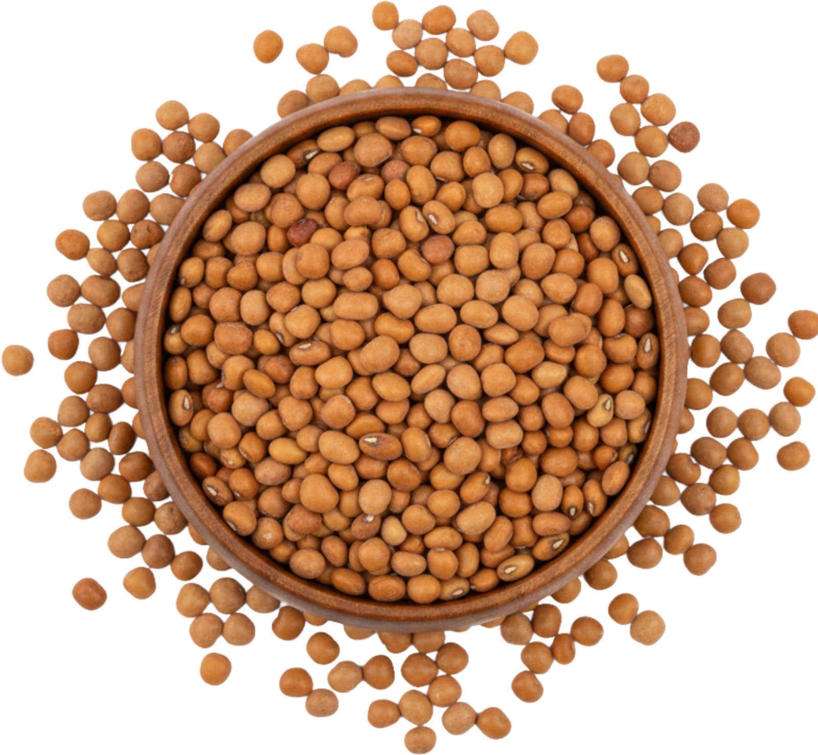 Monthly Agri Commodity Insights