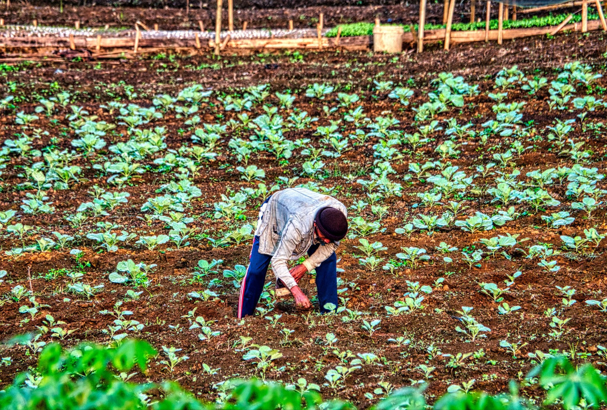 regenerative farming practices