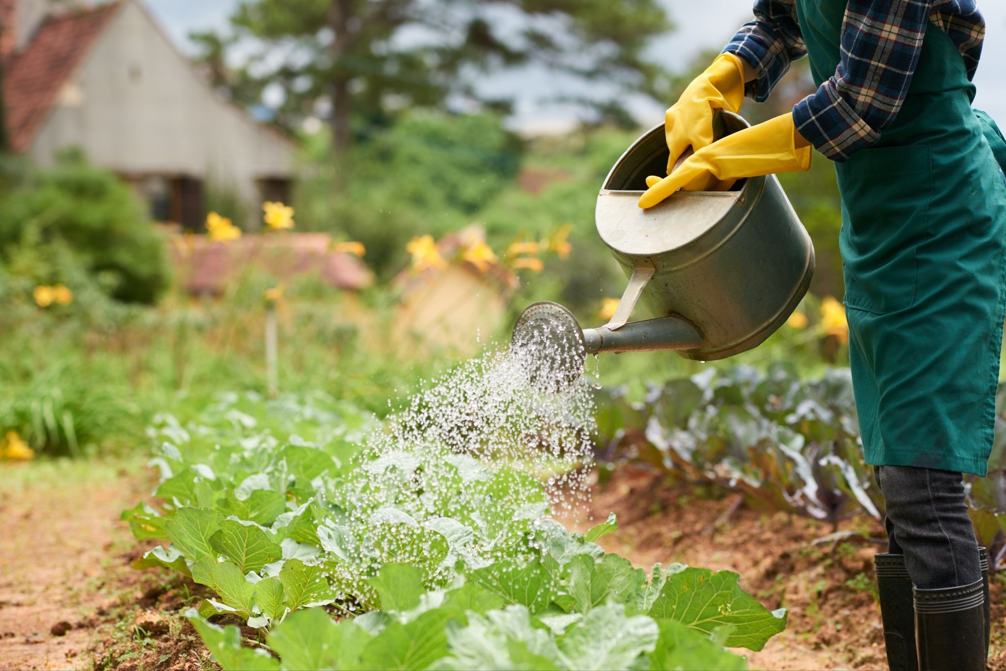 smart irrigation