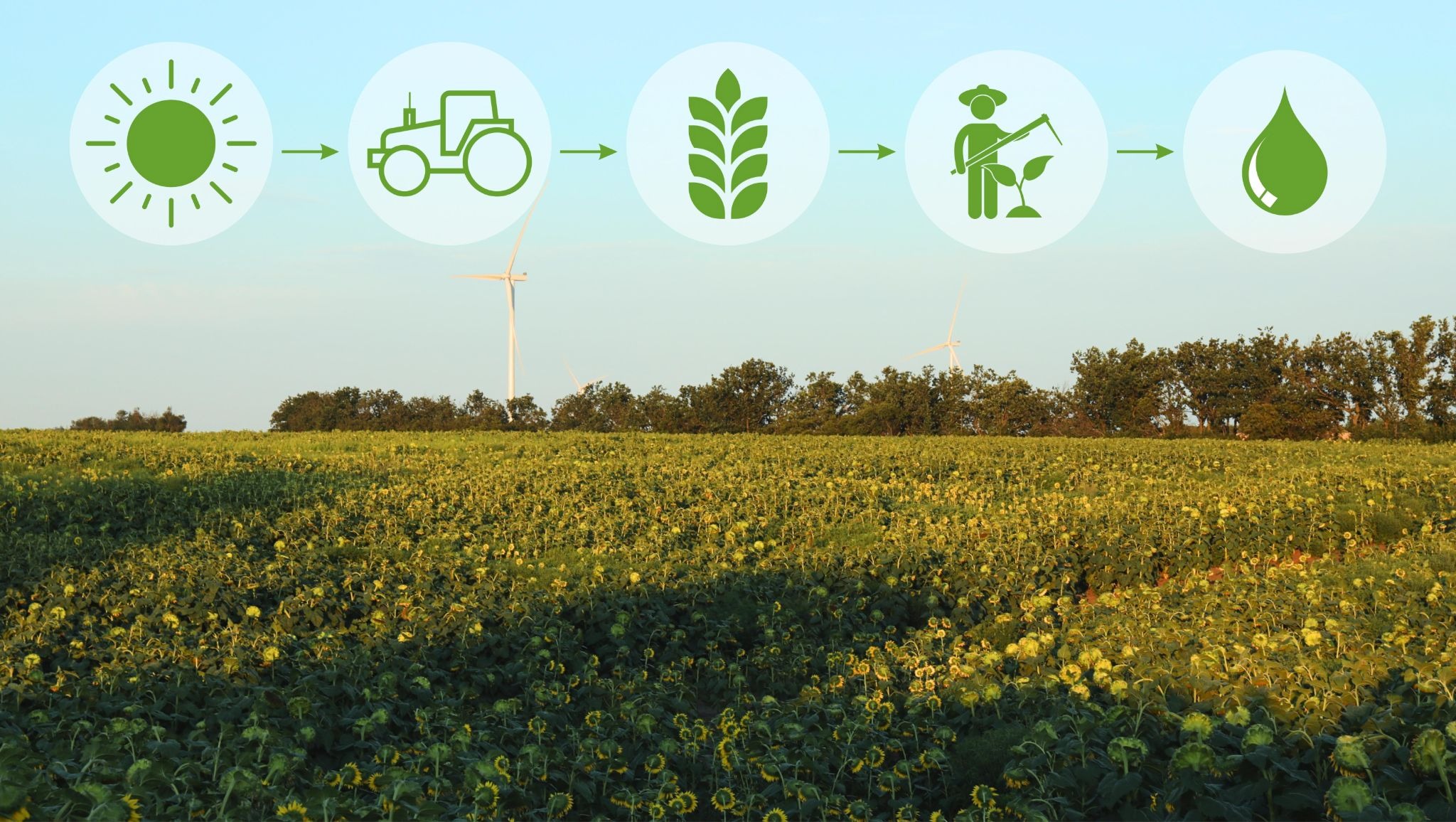 crop health monitoring system