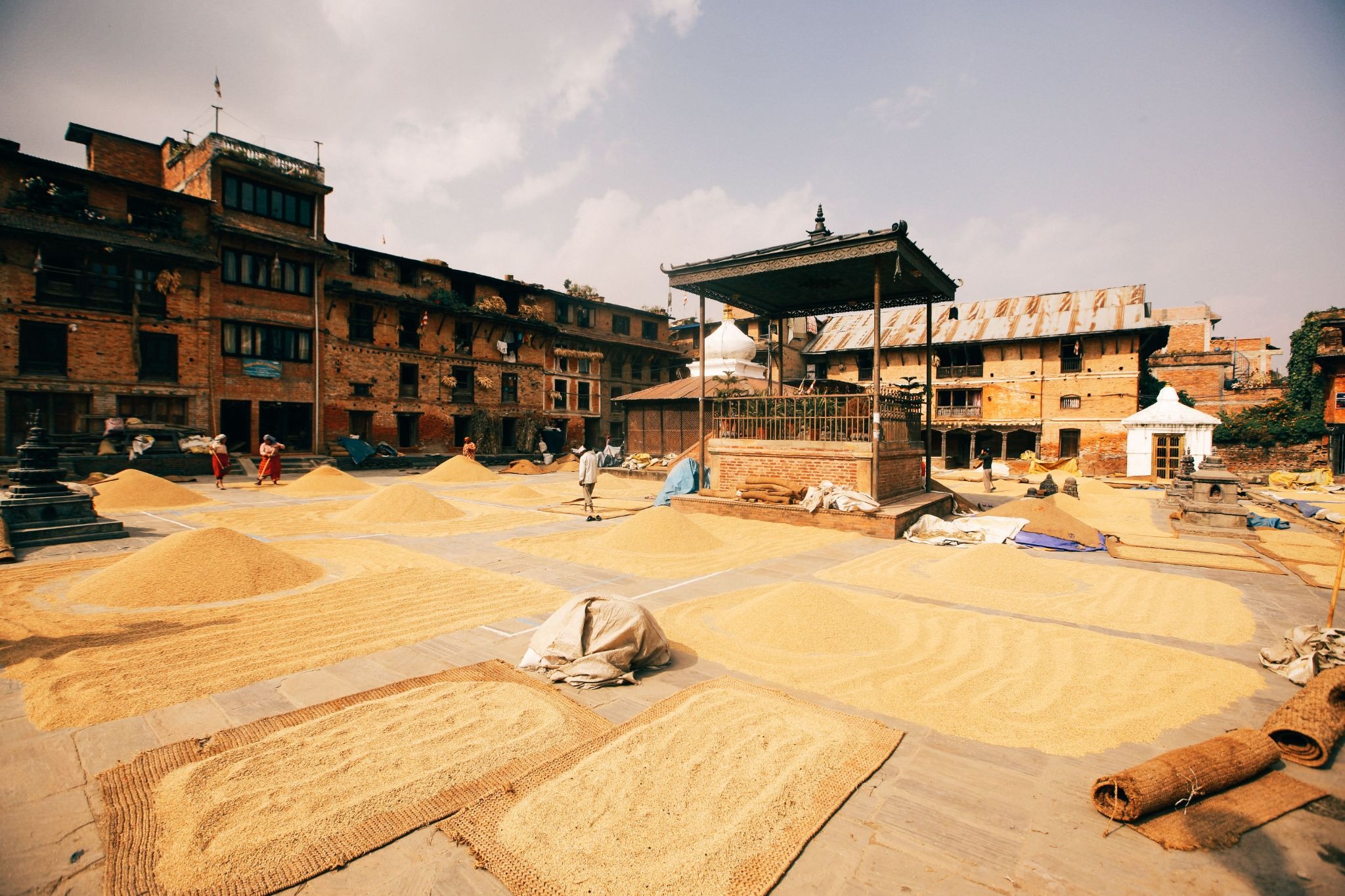agri market