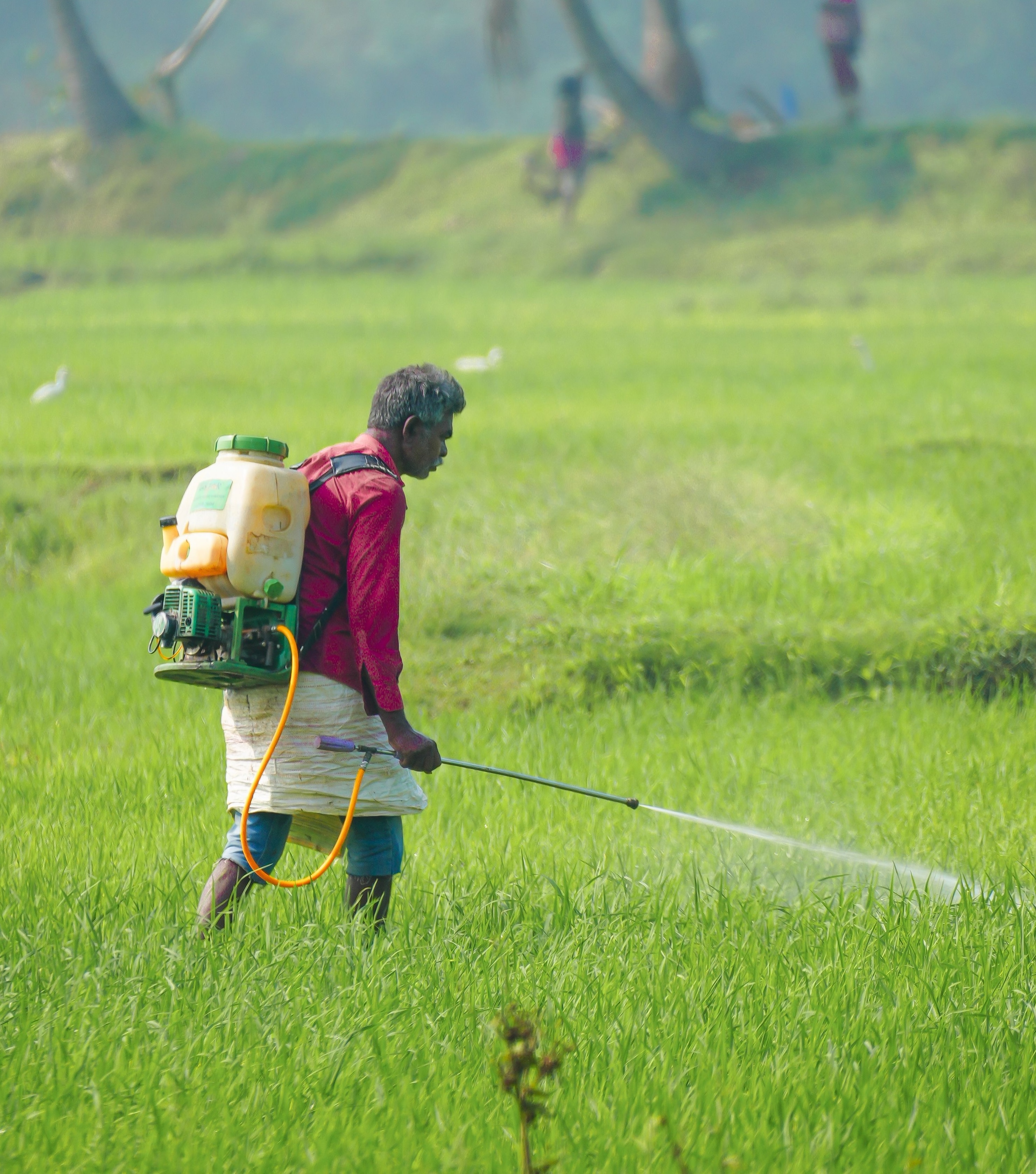 How to Increase Crop Yield Without Increasing Input Costs?