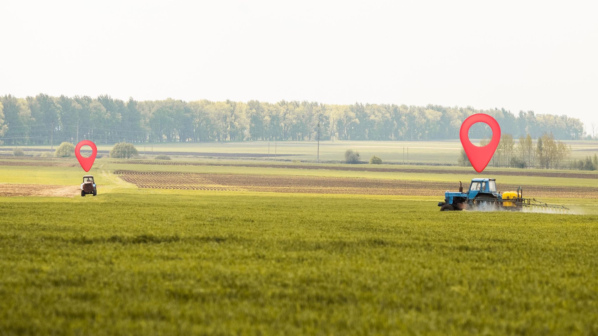 agriculture sector in india