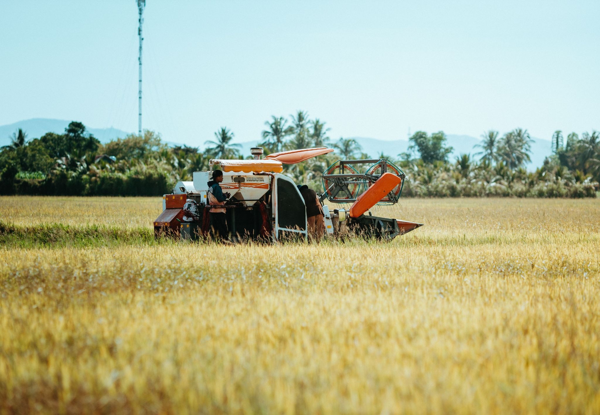 iot and farming