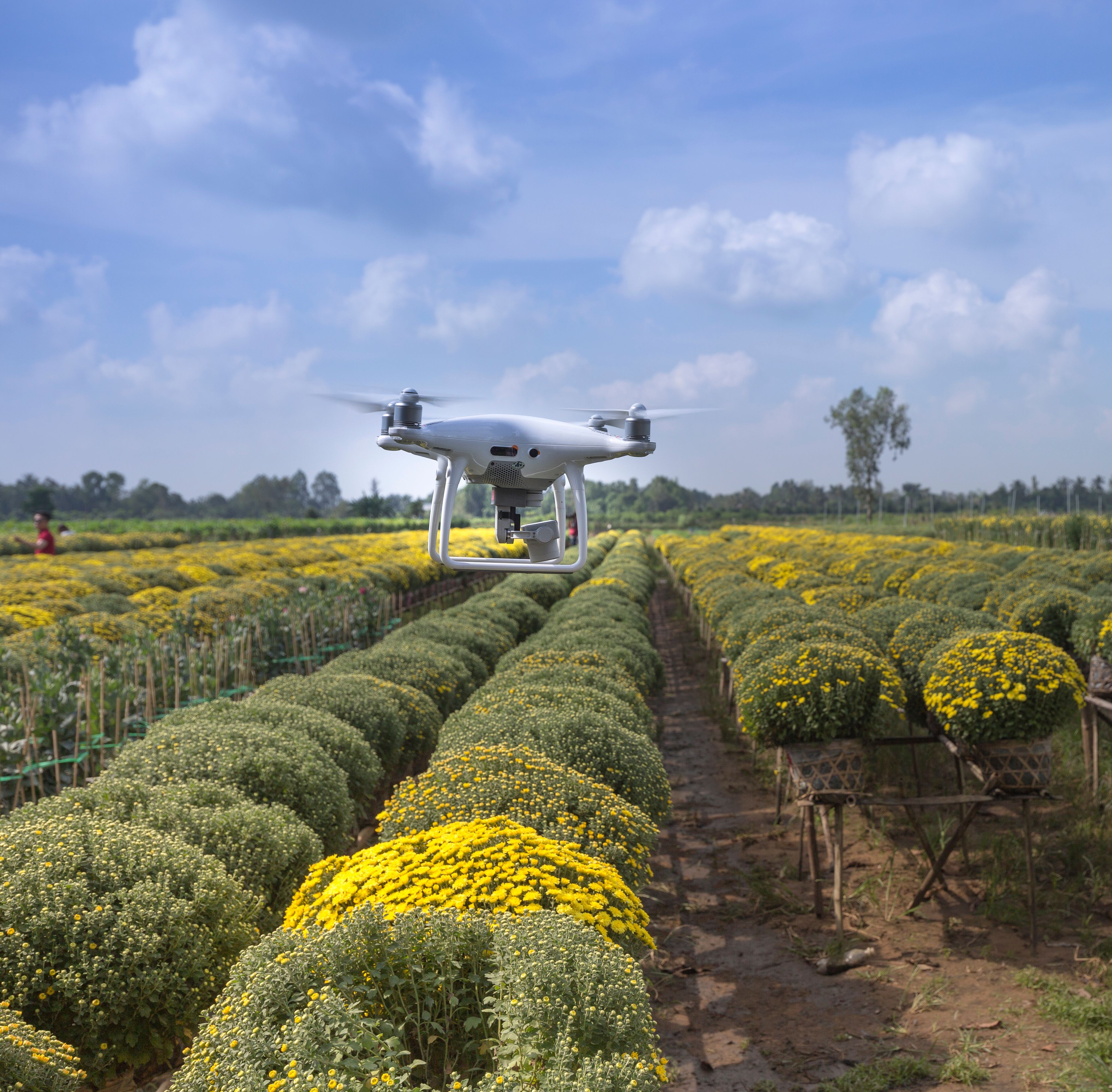 Smart Farming and the Future of Agriculture: How Technology Is Changing the Way We Farm