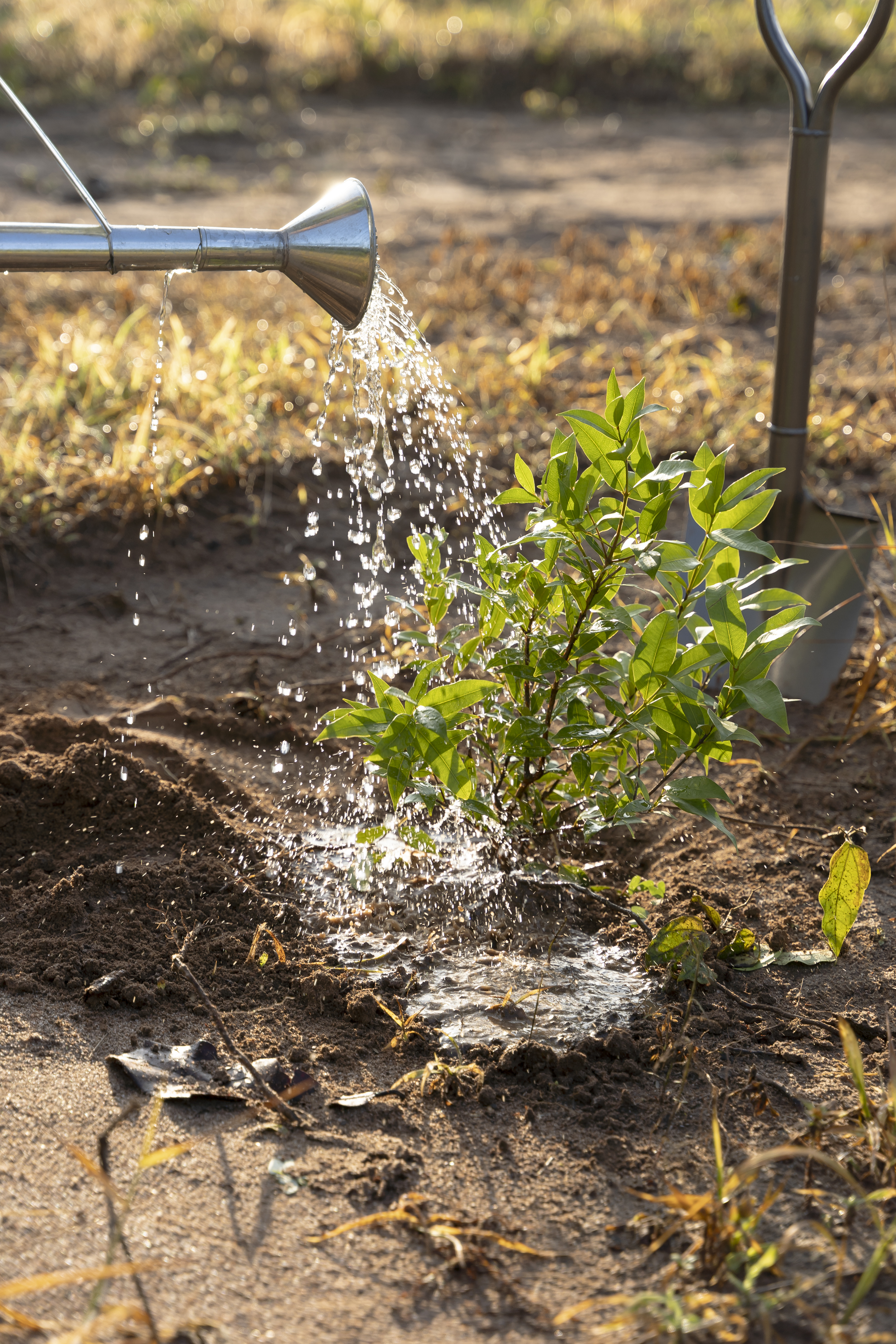 smart irrigation system