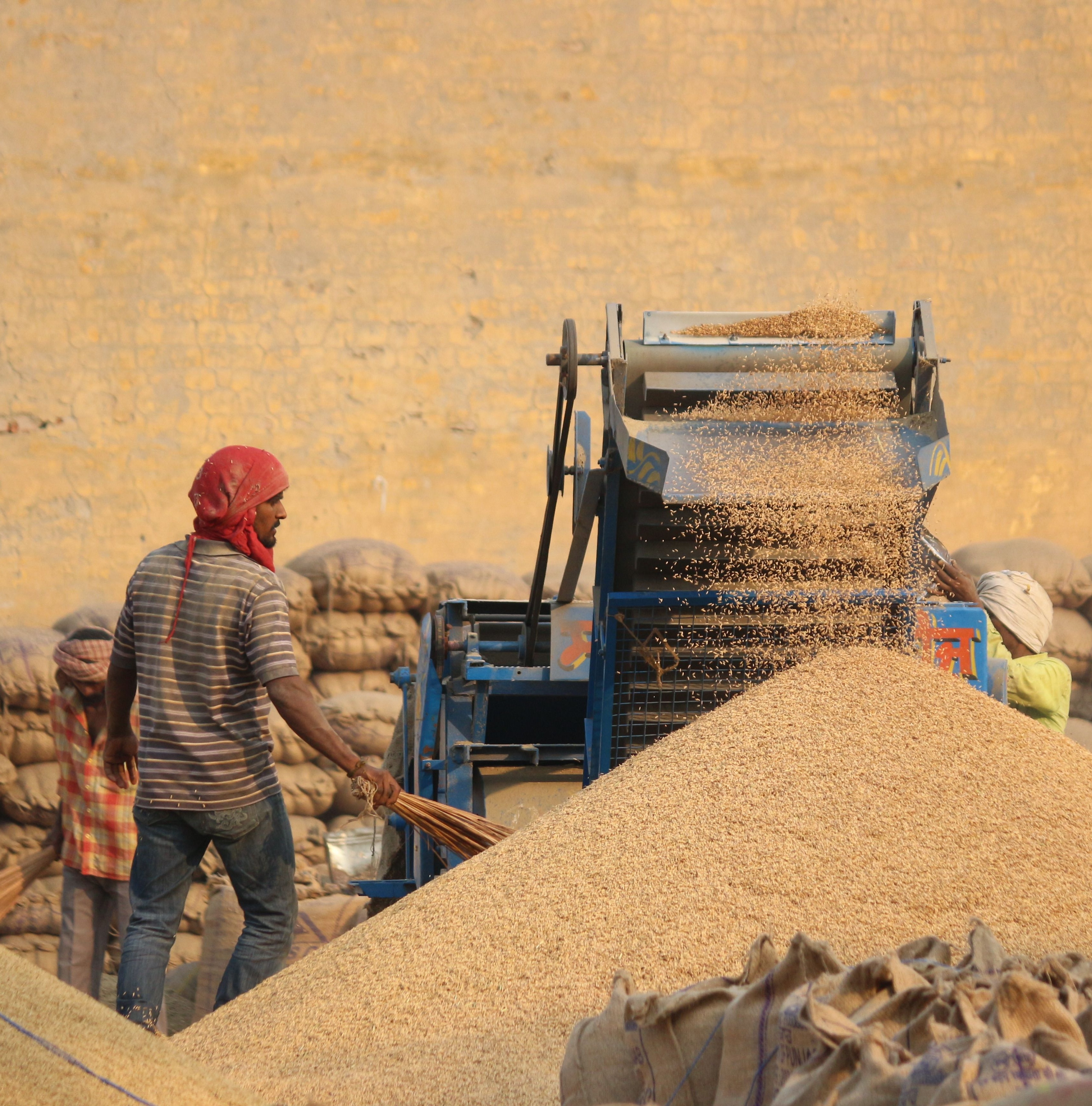 Digital Procurement in Agriculture